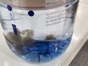 U BiH uvezena voda iz Hrvatske, crni talog pliva u njoj