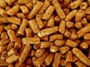 Pogledajte kako se kreću cijene peleta pred sezonu grijanja
