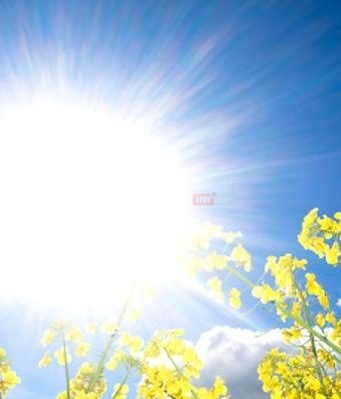 Sunčana subota širom Bosne i Hercegovine: Temperature do 25 stepeni