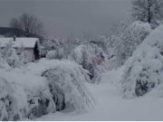 Bajkovito mjesto u BiH poprište je prave drame, upućen i hitan apel – “Ne znamo ništa o njima”