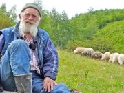 (VIDEO)Nedo je najstariji ovčar u BiH: Hajvan je pametniji od insana!