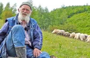 (VIDEO)Nedo je najstariji ovčar u BiH: Hajvan je pametniji od insana!