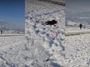 (VIDEO)Uznemirujući snimak iz Sarajeva: Muškarac pustio Kangala na ulične pse, stradao i vlasnički