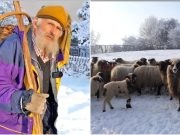 (VIDEO)Nedo,91-godišnji ovčar:”Oni bi htjeli da ja ovo prodam,kao ostale budale,ali ja neću,hoću ovdje da umrem!