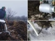 (VIDEO)UŽASNA SITUACIJA: Dejan svakog dana prospe do 170 litara mlijeka jer nema ko da ga otkupi!