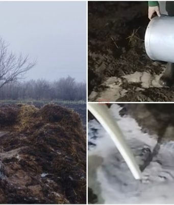 (VIDEO)UŽASNA SITUACIJA: Dejan svakog dana prospe do 170 litara mlijeka jer nema ko da ga otkupi!