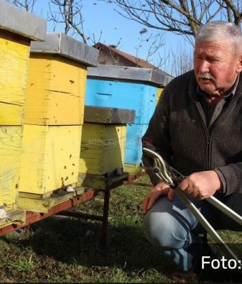 Neobična zima u BiH: Pčele aktivne u januaru zbog toplog vremena