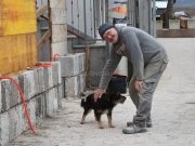 PRIČA DANA: Vjerni pas Bruno već pola godine dolazi na groblje gdje je ukopan njegov vlasnik(VIDEO)