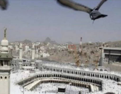 (VIDEO)Pojavile se ptice Ebabil koje se spominju u Kuranu?