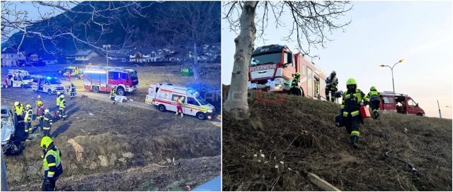 Polish_20250209_091033558