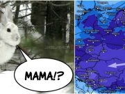 Meteorolozi kažu da će večeras zeko tražiti svoju majku – očekuje nas najhladnija noć ove zime?