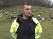 (VIDEO)Zbog ovaca napustio Dansku: ‘Vratio sam se kući u Sanski Most, ja ovdje pripadam..”