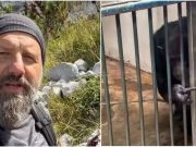 (VIDEO)Fotograf Dženad Džino objavio srceparajući snimak iz ZOO Beograd: “Majmunov poziv da ga pustimo na slobodu je nešto što će mi dugo ostati urezano u sjećanje..”