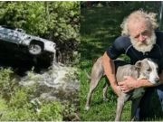 PRIČA DANA: Odani pas heroj pretrčao 6,5 km kako bi upozorio druge da njegov vlasnik očajnički treba pomoć!