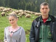 Hasan i kćerka Azemina brinu o 500 ovaca: “Nije me sramota ovog posla, sramota je ukrasti”(VIDEO)