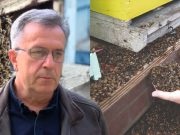 Jablanički pčelari upozoravaju: “Stanje je vrlo loše, da nema pčelara, pčele ne bi mogle preživjeti!”