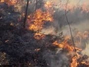 Akcija vatrogasaca: Šumski požar u Jablanici brzo stavljen pod kontrolu