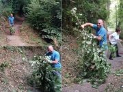 Baćina pokazala snagu zajednice: Selo blista zahvaljujući rukama mještana