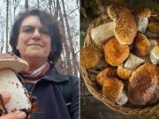 Dođite, naučite, povežite se: Gljive Konjica kroz oči stručnjakinje Vesne Dujlović