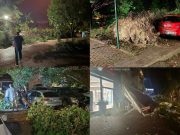 Snažno nevrijeme poharalo Mostar: Oštećeni objekti, automobili, srušena stabla(FOTO+VIDEO)