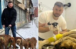 Mladi veterinar Emin Plecić o pozivu koji ne poznaje radno vrijeme: “Svaka životinja je moj ljubimac..”