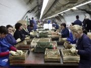 Javni oglas za prijem radnika u Igman d.d. Konjic: Traži se 35 radnika, evo kako se prijaviti