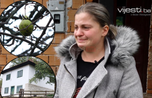 Srceparajući oproštaj: Halidu smo u zadnju posjetu odnijeli njegovu krušku, to mu je bilo kao cijeli svijet