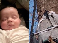 Beba pronađena živa na drvetu nakon tornada: “Kao da ju je Bog položio tamo”