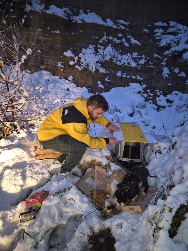 FB_IMG_1763833881365