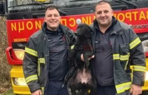 Vatrogasci spasli život psu koji je upao u bunar dubok 20 metara