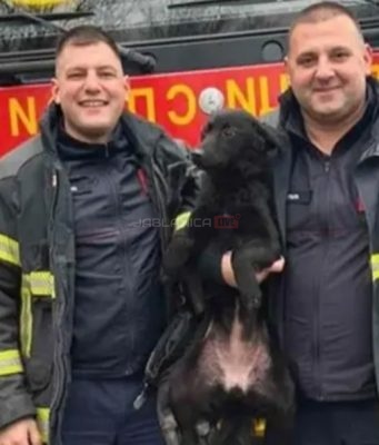 Vatrogasci spasli život psu koji je upao u bunar dubok 20 metara