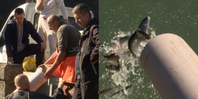 Polish_20251106_141745169