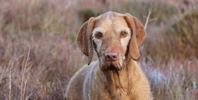 Screenshot_2025-11-17-20-20-28-984_com.miui.gallery-edit