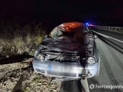 Automobil usmrtio kravu na cesti u Hercegovini: Na vozilu načinjena velika materijalna šteta, vozač zadobio lakše povrede