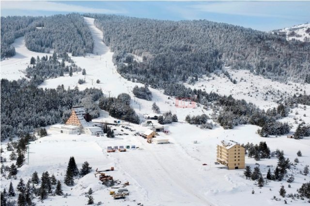 1ebb4f6ded613501_56bcecaa87ddd076