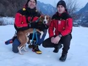GSS Jablanica još jednom pokazao hrabrost: Naši heroji spasili psa s nepristupačnih stijena na 200 metara visine(VIDEO)