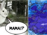 Meteorolozi kažu da će večeras zeko tražiti svoju majku – očekuje nas najhladnija noć ove zime?