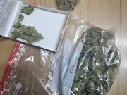 Zaplijenjena marihuana u Jablanici: Mostarac lišen slobode zbog sumnje na krivično djelo iz oblasti narkotika(FOTO)