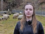 Predivna priča: Lijepa Ajla uz pomoć dobrih ljudi dobila vlastito stado ovaca(VIDEO)