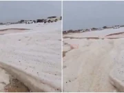 (VIDEO)Nestvarni prizori u UAE: Pao silovit grad, nastao sloj od 45 centimetara leda