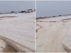 (VIDEO)Nestvarni prizori u UAE: Pao silovit grad, nastao sloj od 45 centimetara leda