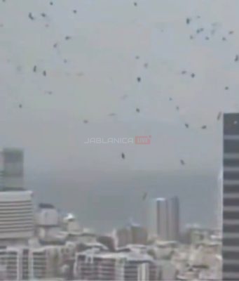 Zlokoban prizor iznad glavnog grada Izraela: Viralni snimci hiljada vrana pokrenuli lavinu reakcija širom svijeta – „Ovo je biblijski predznak apokalipse!“(VIDEO)