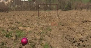 Samo u BiH: Predsjednik mjesne zajednice preorao seosko igralište