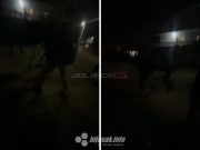 Krenuo na teraviju u džamiju: U Mostaru mladić brutalno napadnut i pretučen, maloljetnica sve snimala