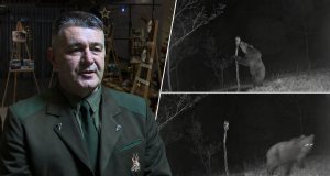 Upozorenje iz Jablanice: Medvjed u više navrata snimljen na ovom području – važan apel Lovačkog društva “Tetrijeb” (VIDEO)