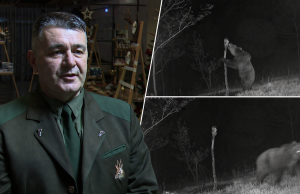 Upozorenje iz Jablanice: Medvjed u više navrata snimljen na ovom području – važan apel Lovačkog društva “Tetrijeb” (VIDEO)