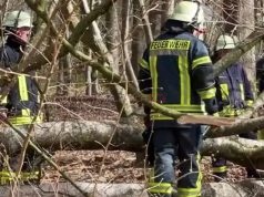 Potraga za uskrsnim jajima završila tragično: Drvo palo na grupu ljudi, među poginulima majka i dijete