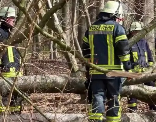 Potraga za uskrsnim jajima završila tragično: Drvo palo na grupu ljudi, među poginulima majka i dijete
