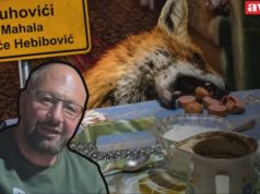 Senzacija na društvenim mrežama: Jusuf Delić pripitomio lisca Milija, dolazi mu u kuću i jede s njim sa stola – “Prvo njemu pa sebi pravim večeru..” (VIDEO)