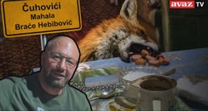 Senzacija na društvenim mrežama: Jusuf Delić pripitomio lisca Milija, dolazi mu u kuću i jede s njim sa stola – “Prvo njemu pa sebi pravim večeru..” (VIDEO)